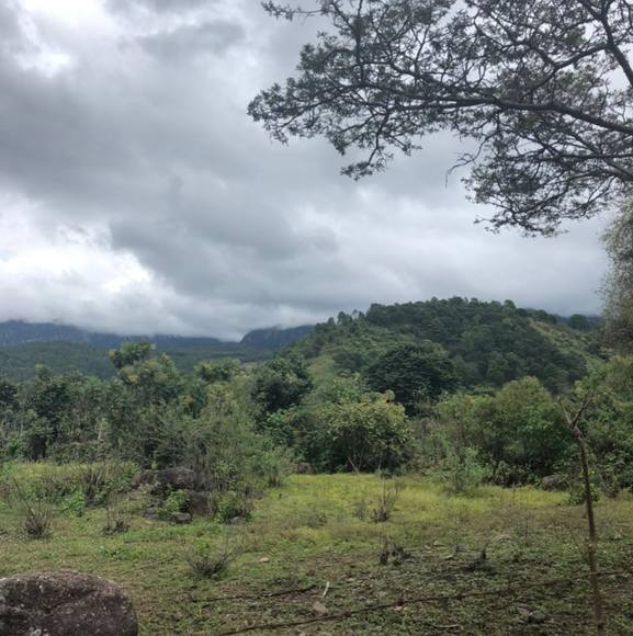 Meet your Posher, Nunez - Picture 1 of 1